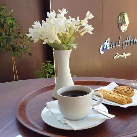 Hotel Anil Bergama