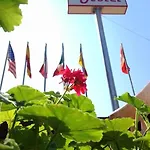 아닐 3*