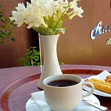 Hotel Anil