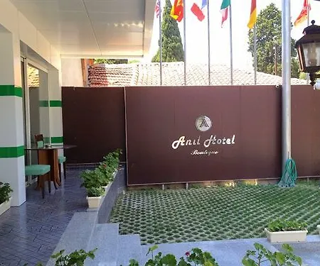 Hotel Anil Bergama